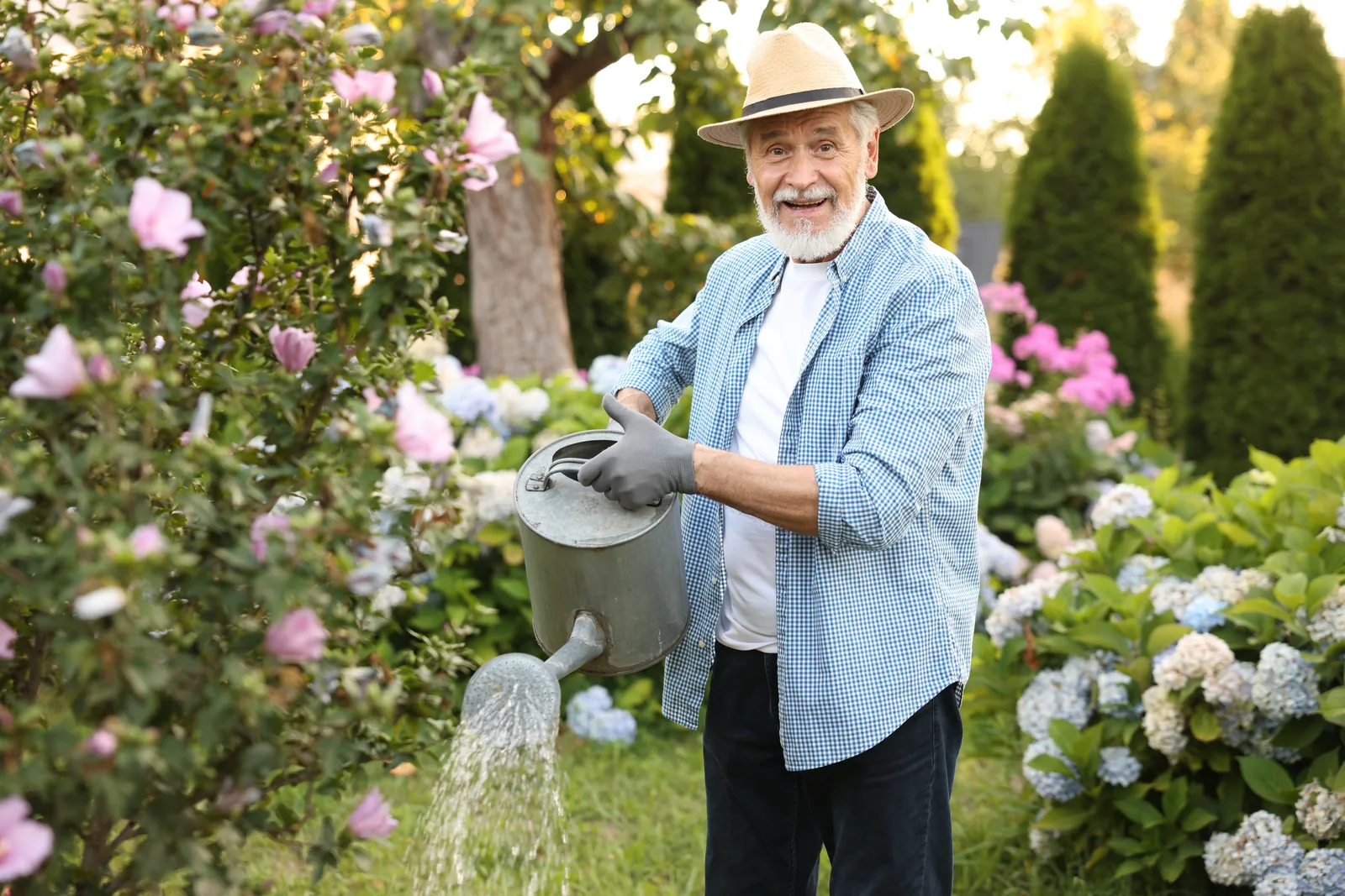 Oudere man geeft de bloemen water in zijn tuin