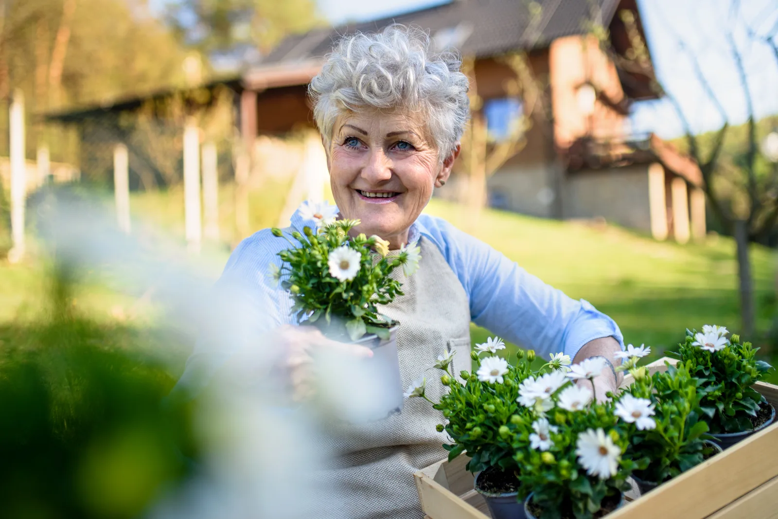 Lachende oudere vrouw tuiniert met witte bloemen